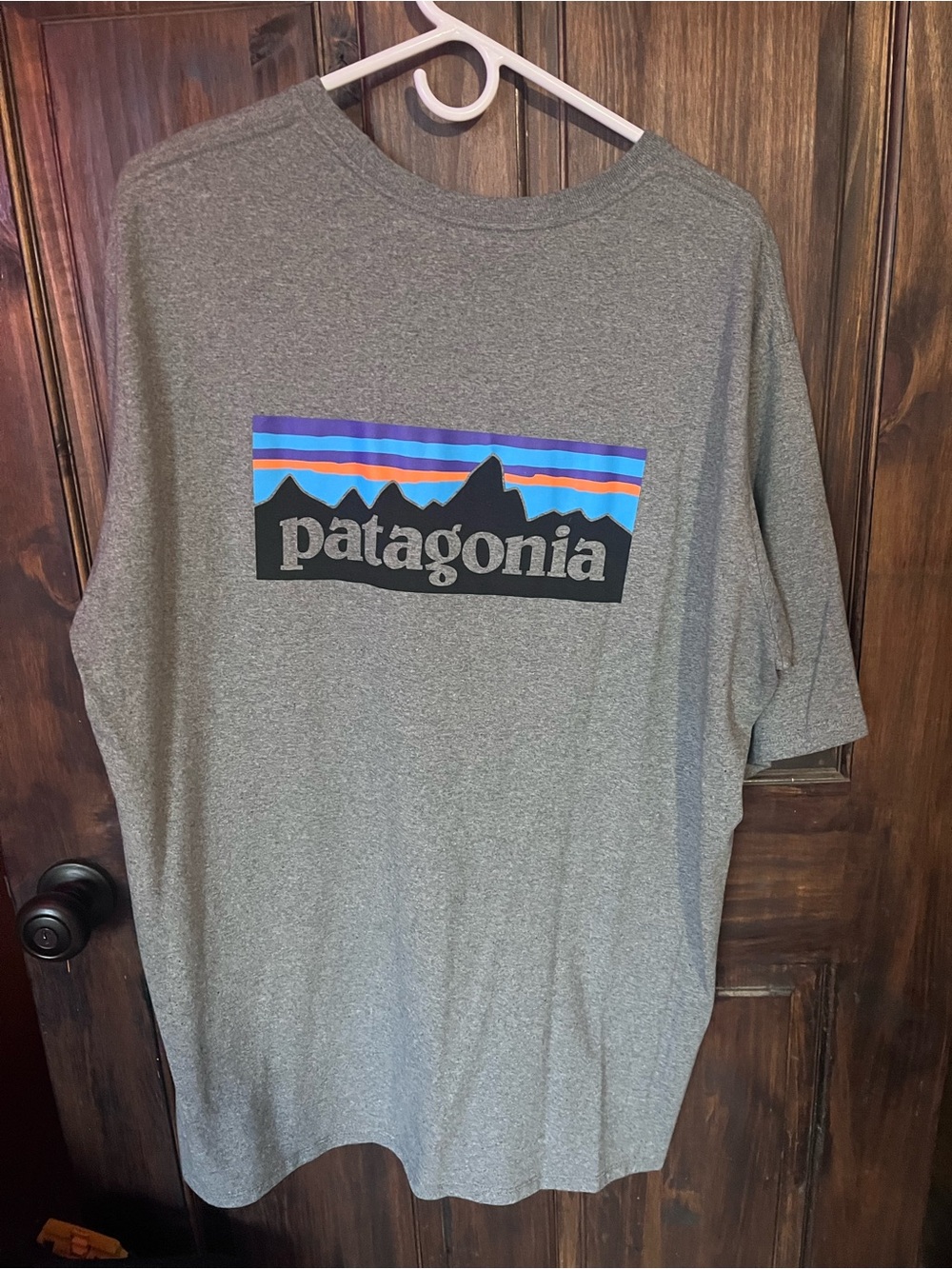 Patagonia Grey Tee with Multicolor Mountain Logo